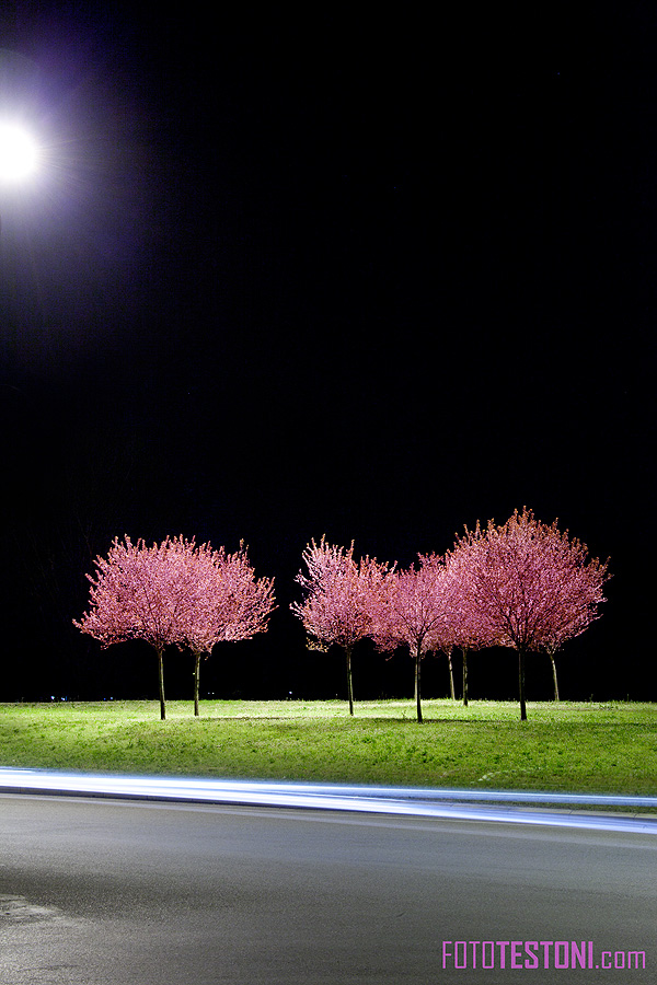 NUOVI PAESSAGGI URBANI