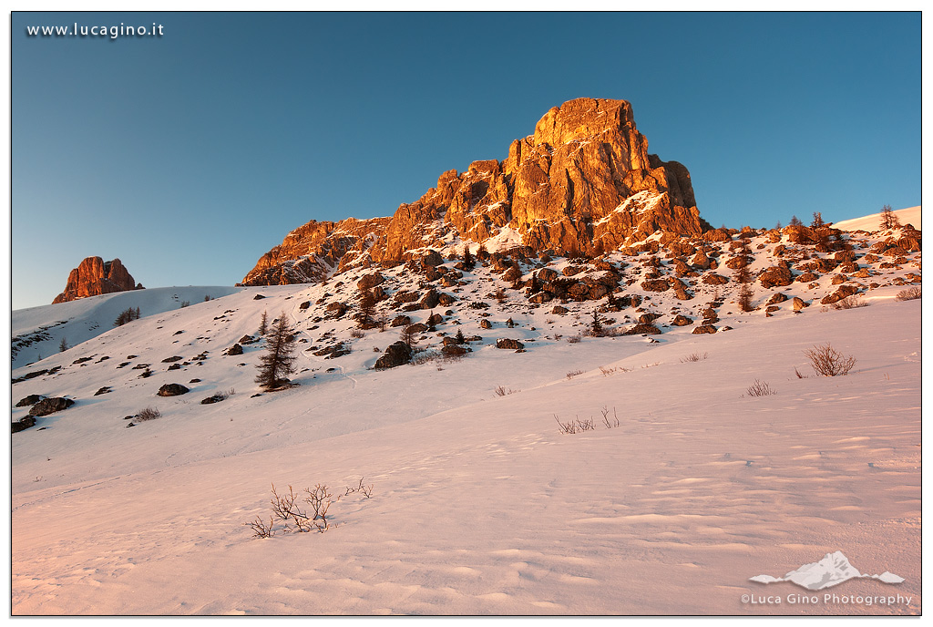 The light of Gusella