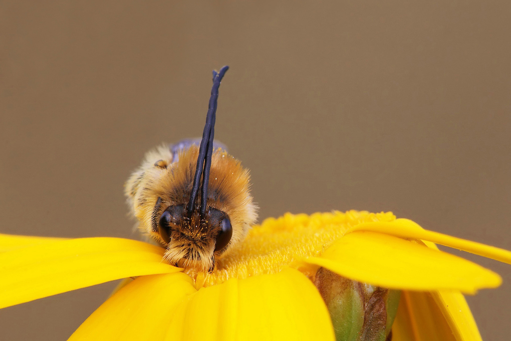 ...Tanta Tenerezza...!!!