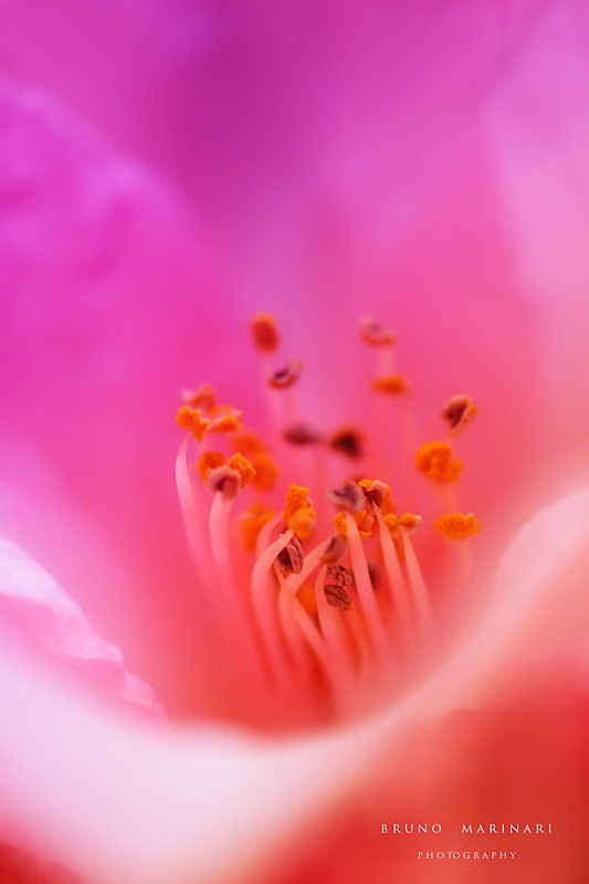 Dentro un altro mondo