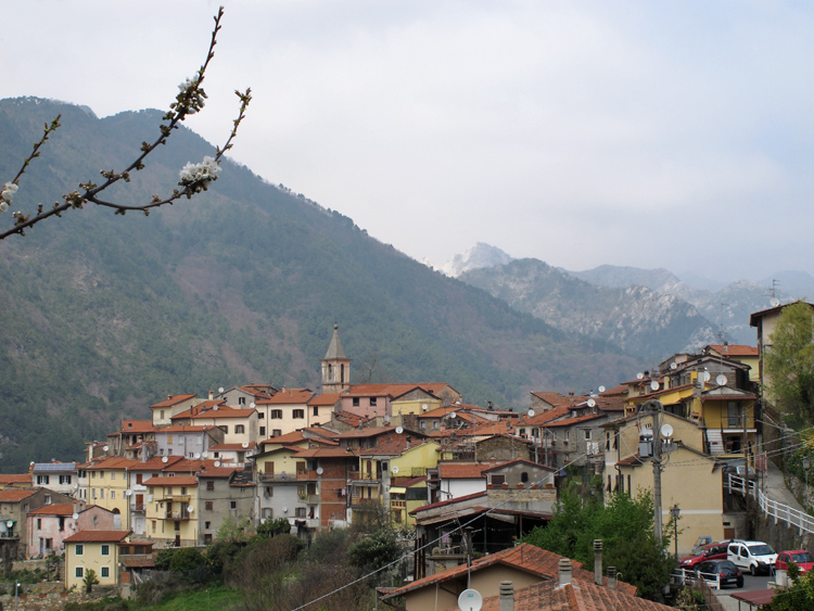 Oo�� OO �  oo � o OO� Oo o