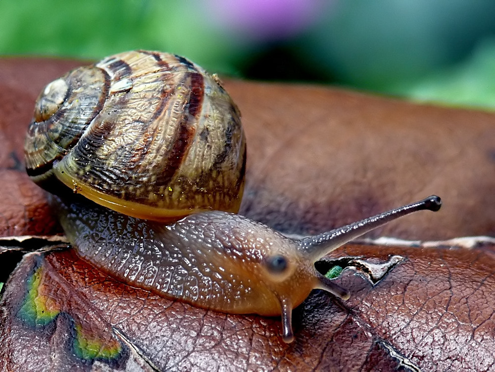 Unos� e unon�!!!!!