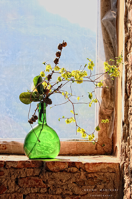 Una insolita finestra