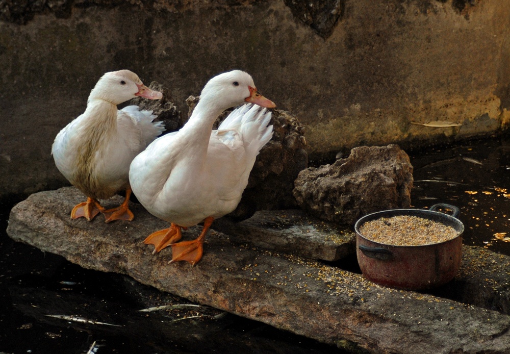 Veniamo meglio di profilo!