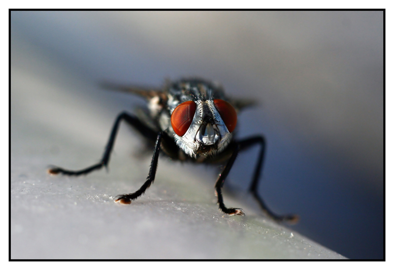 "Non guardarmi cos�...� solo una foto!"