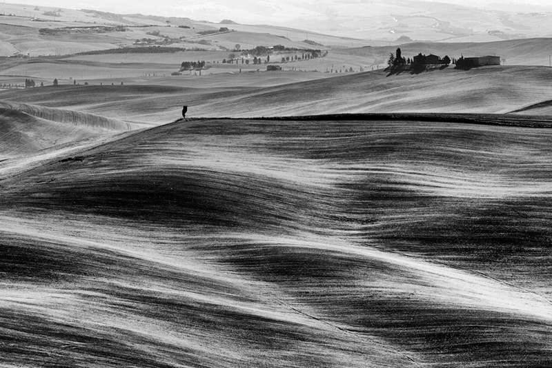 Toscana in B.W: II