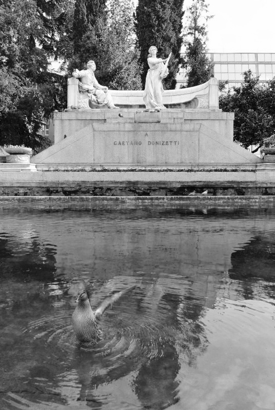 Donizetti