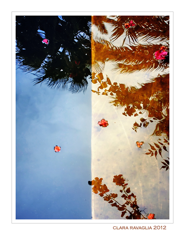 Scampoli di cielo... e rubini