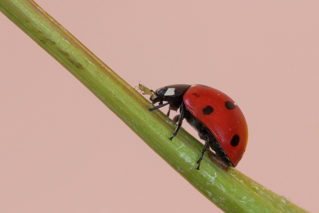 ...Una Strana Amicizia...!!!