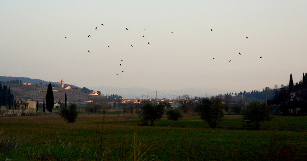Stormi d'uccelli neri, com'esili pensieri, nel vespero migrar!