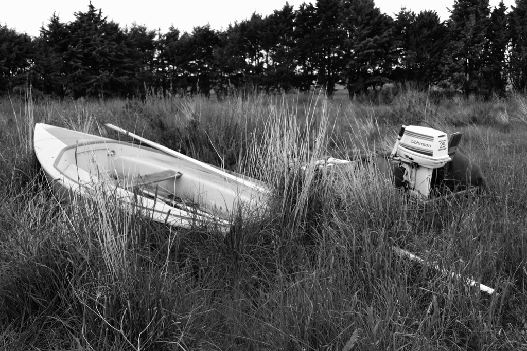 Come un pesce fuor d'acqua..