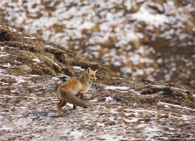 Controllando la montagna