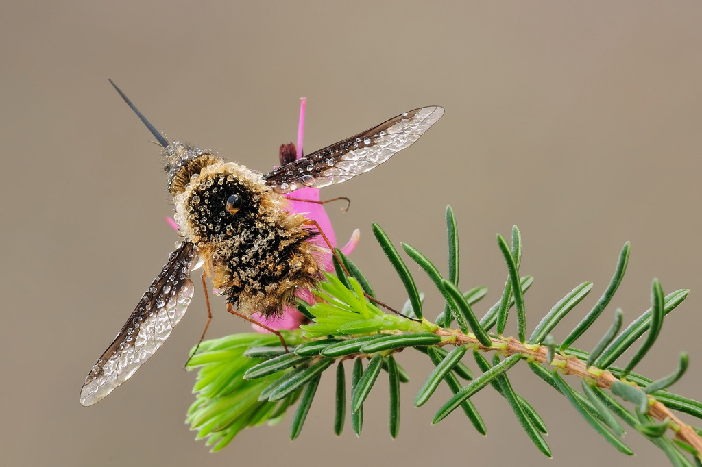In attesa di riscaldarsi....