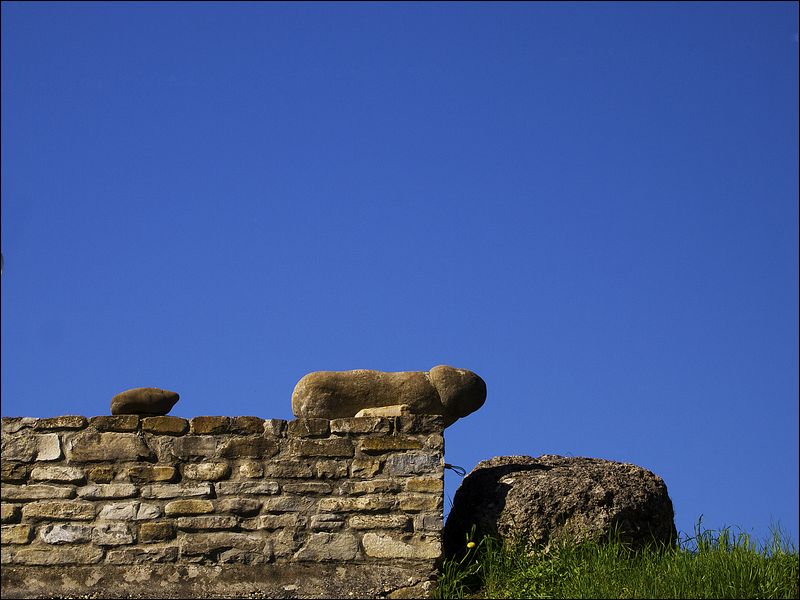Gemelli graniticamente diversi