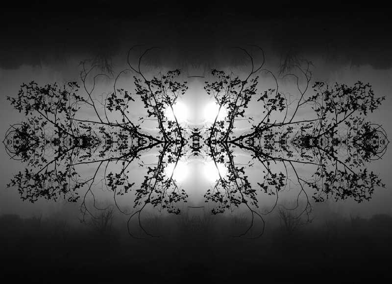 Griglia per sole nascente