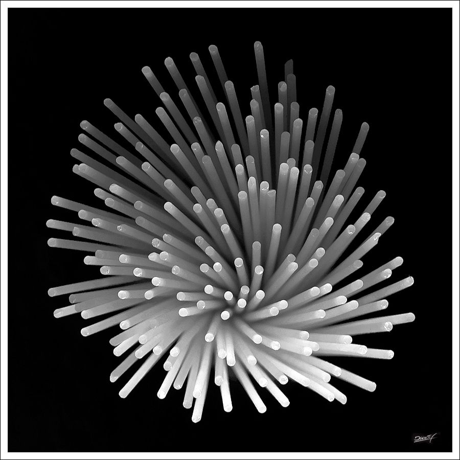 Una produzione Ghetti S.p.a.