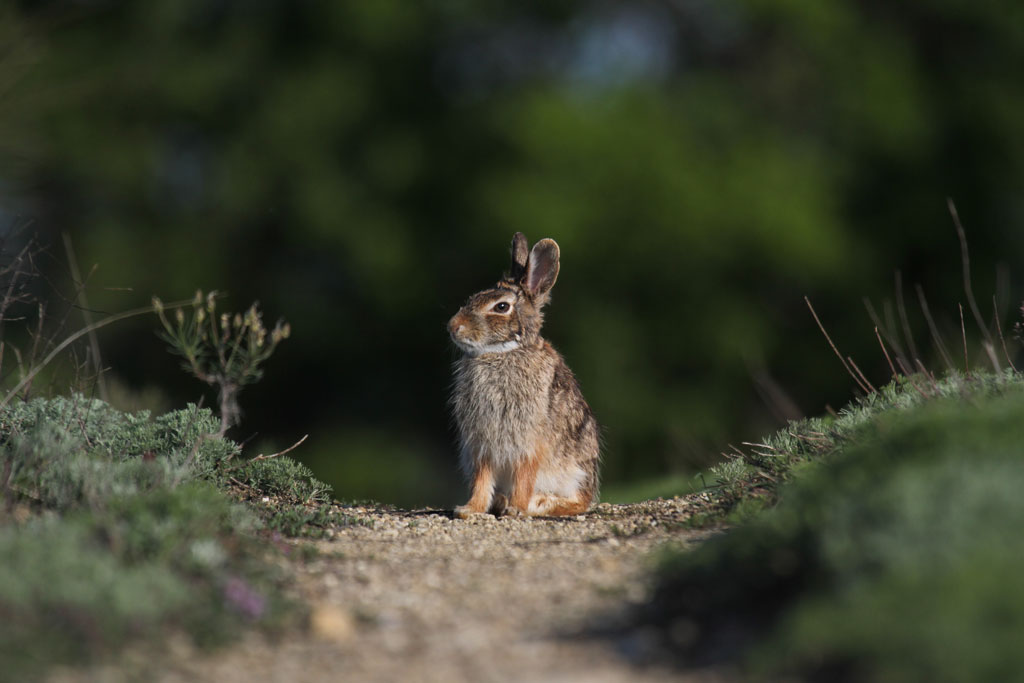 Sulla mia Strada.....