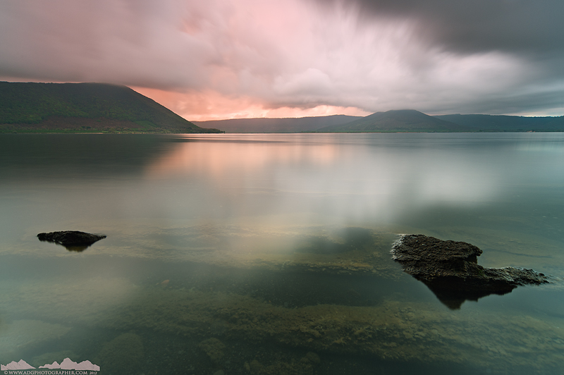 Dreaming in the Rain