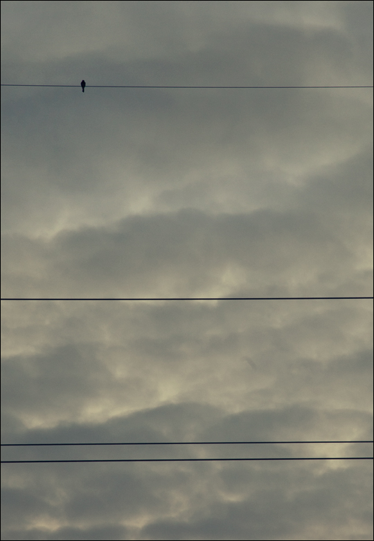 Aria sulla quarta corda