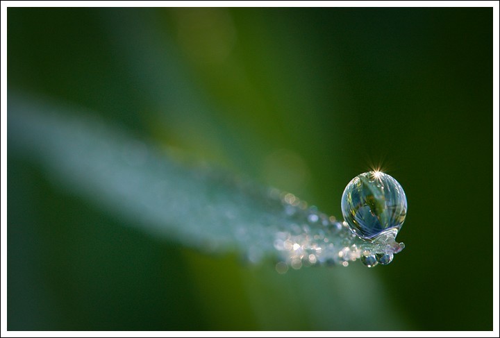 Drops Collection (serie)