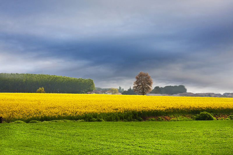 Impressioni d' Aprile