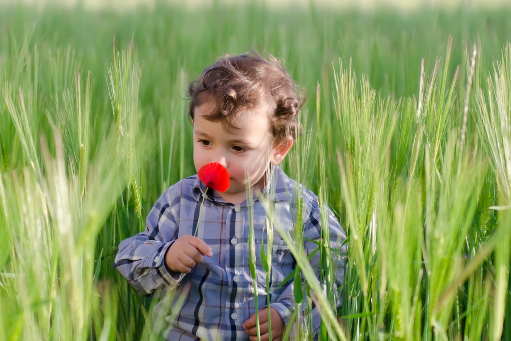 Lorenzo tra il grano