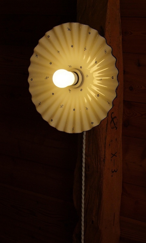 Un fiore sul soffitto