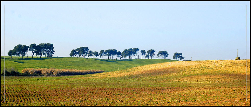 Campagna Laziale