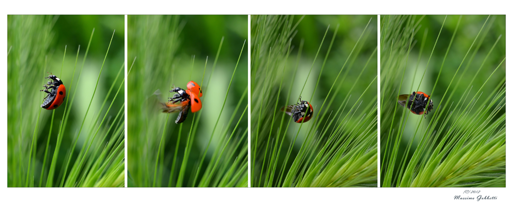 equilibrio instabile