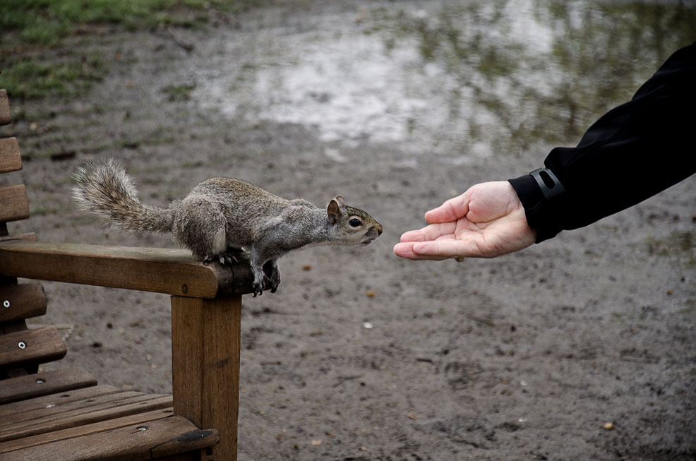 Hai qualcosa per me?