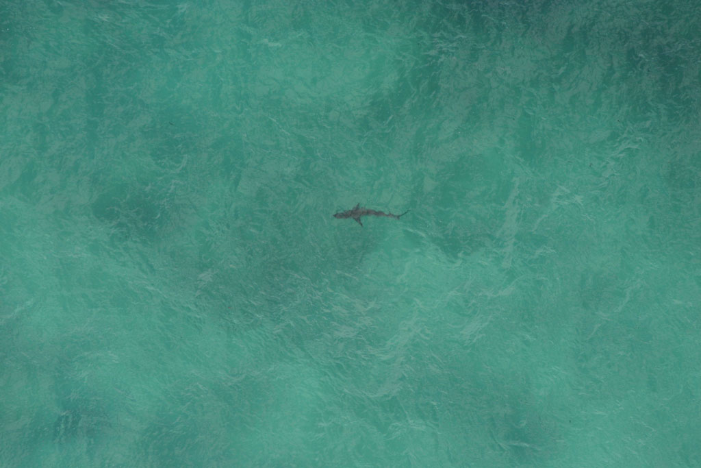 C'� qualcuno!!!!!!