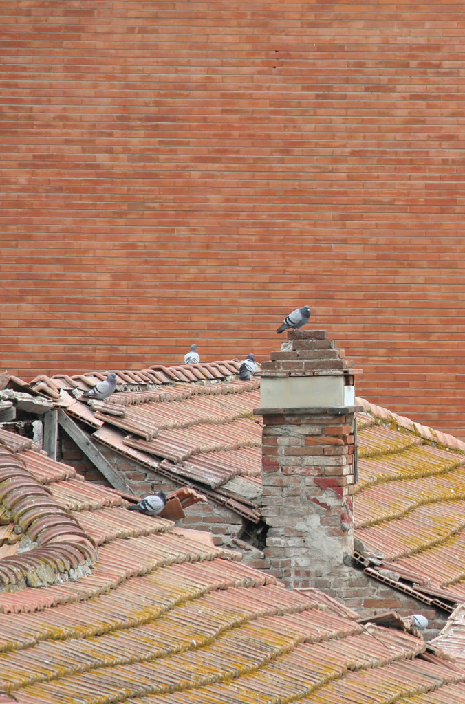 La breccia nel tetto!