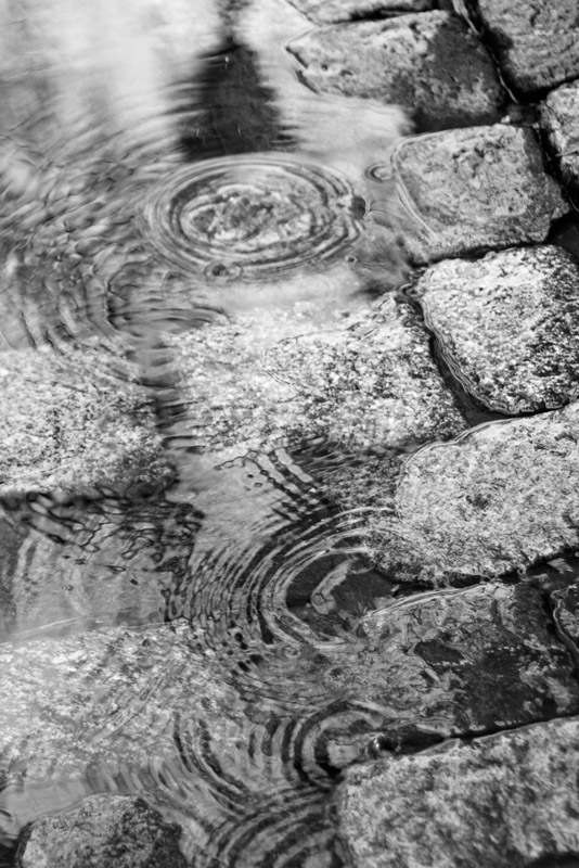 A rainy day... in Patarei