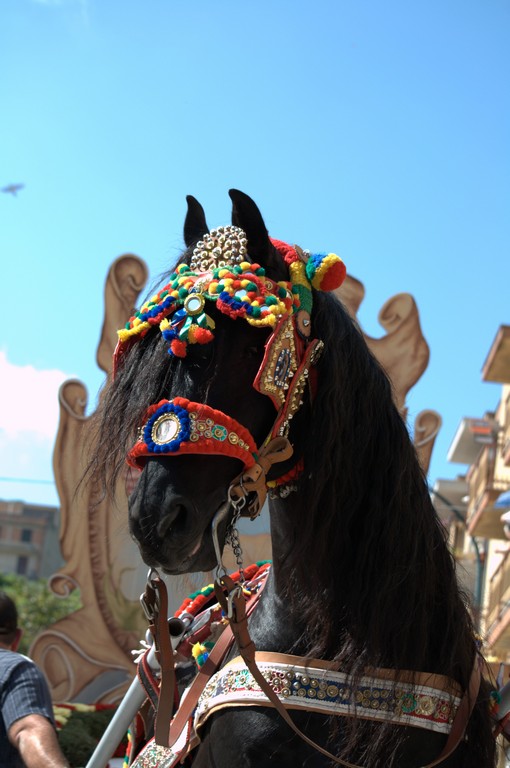 Festa SS. Crocifisso