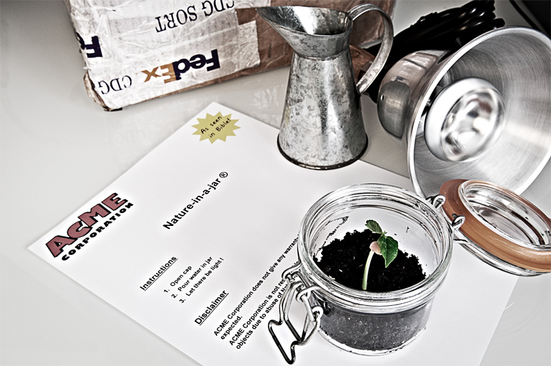 Il kit del piccolo dio