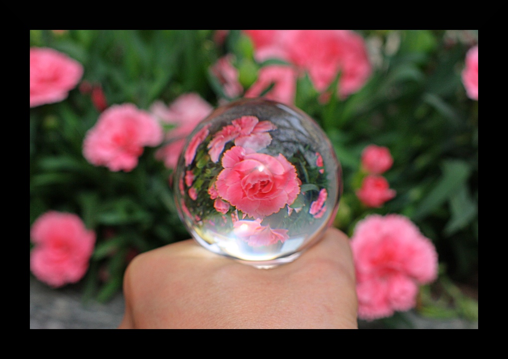 ...con un tappo da grappa