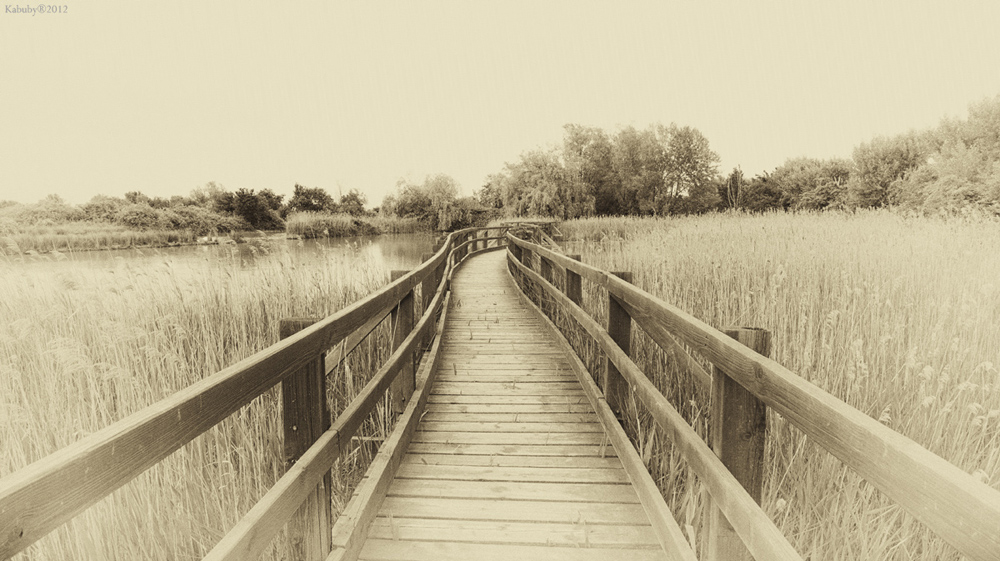 Oasi naturalistica di Marano