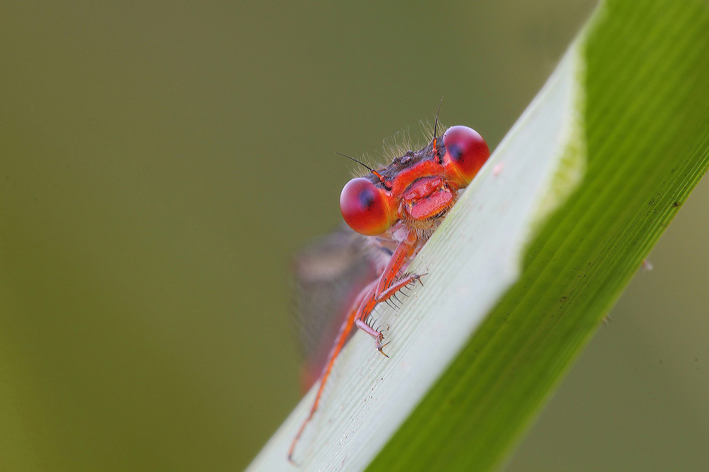 Una Sbirciatina...!!!
