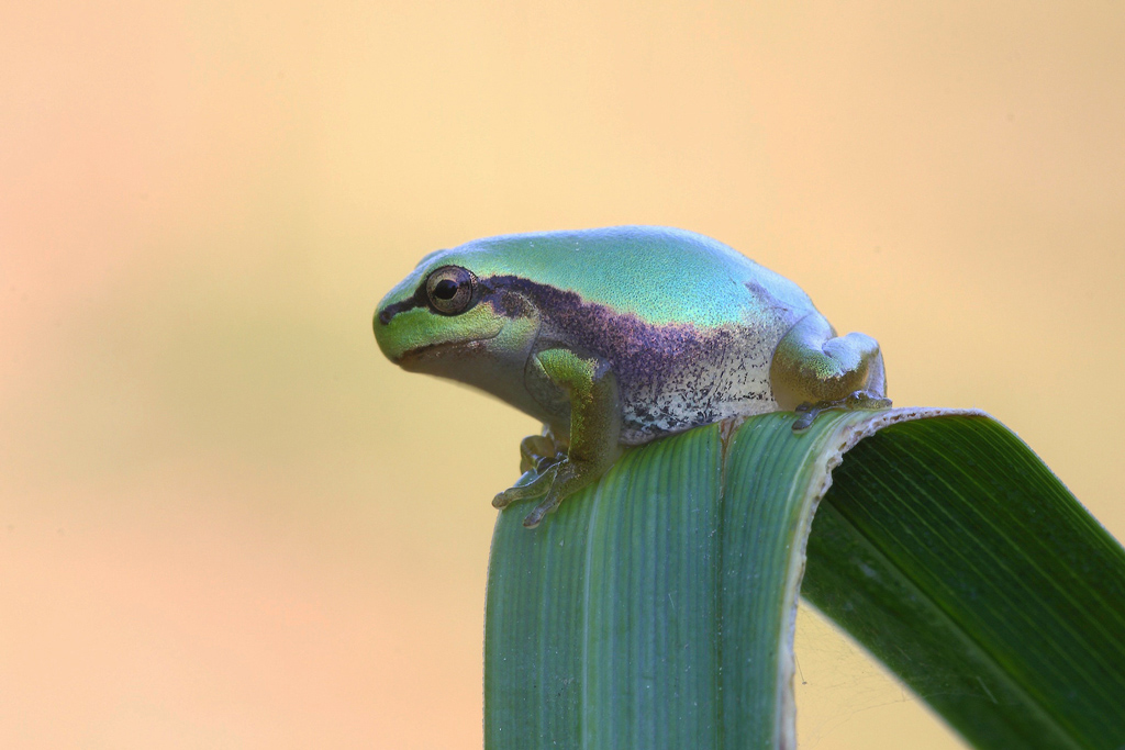 Uscita Dall'Acqua...!!!
