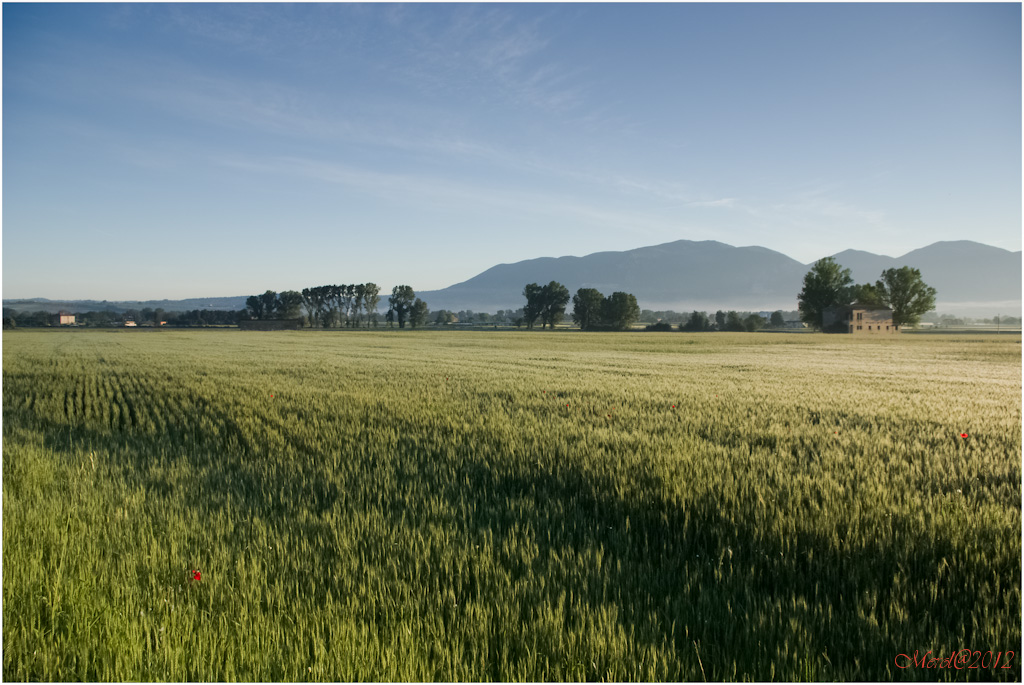 ...una versione senza sole