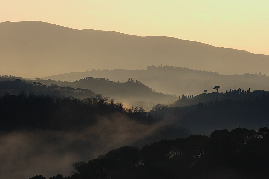 Dall'Abbazia di Monte Oliveto Maggiore