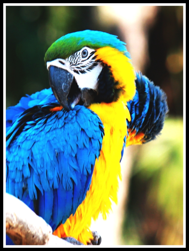 Al parco delle Cornelle