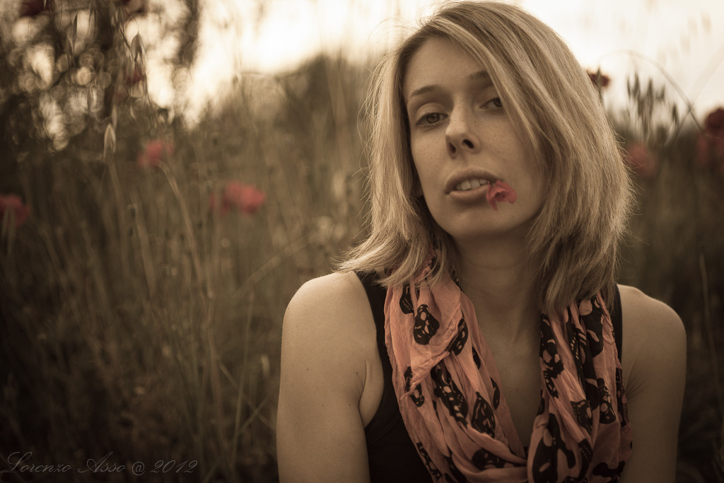 Fragile come quel papavero...