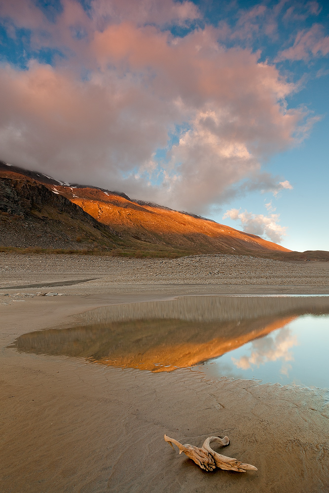 mirrored in a puddle