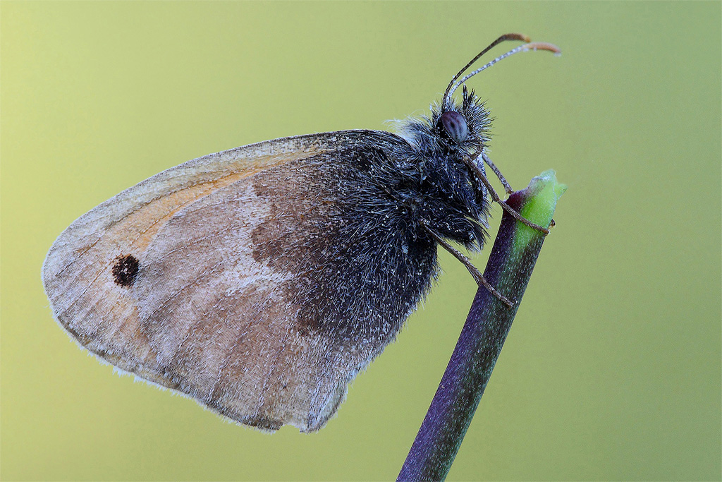 Ci Vuole Coraggio...!!!