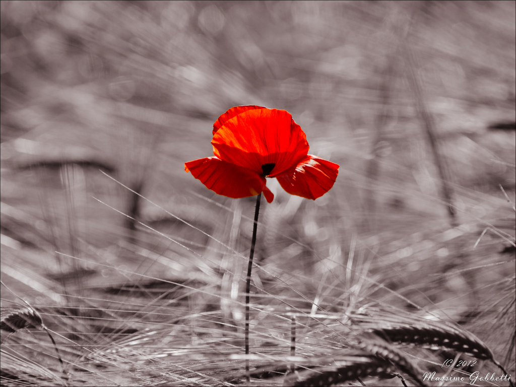 sono solo... sono solo.... ehhh