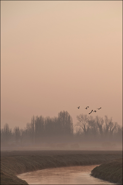 L'odore e il canto di un mattino..