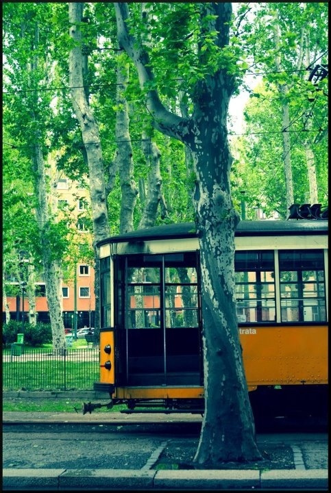 tram Lambrate