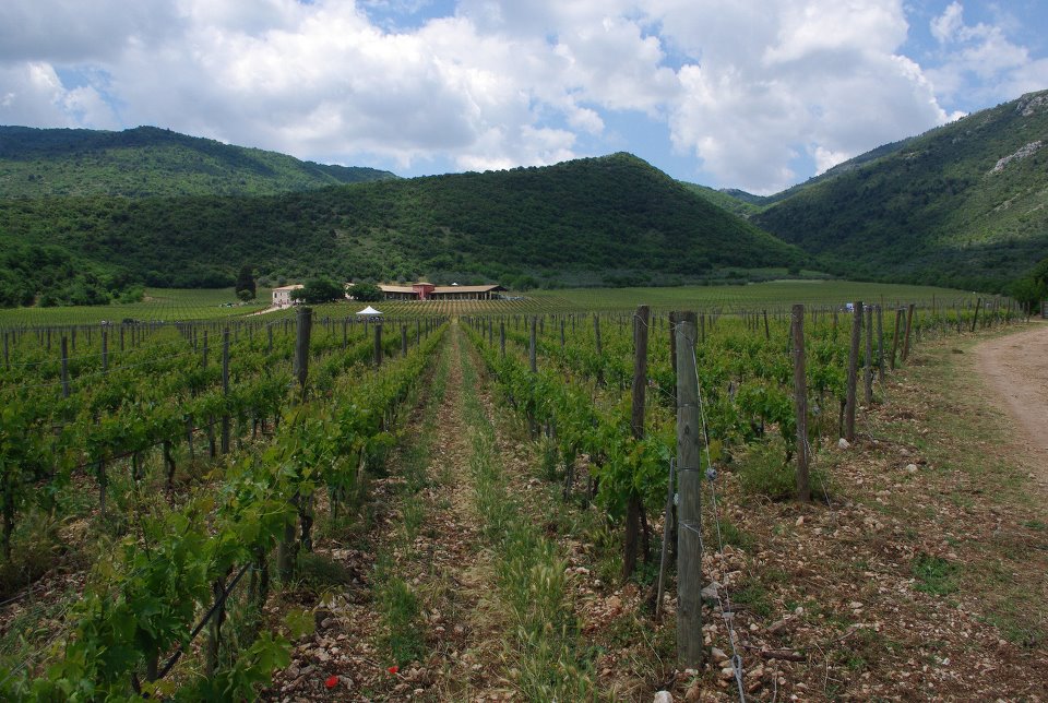 Cantine aperte;Vallereale;Popoli.