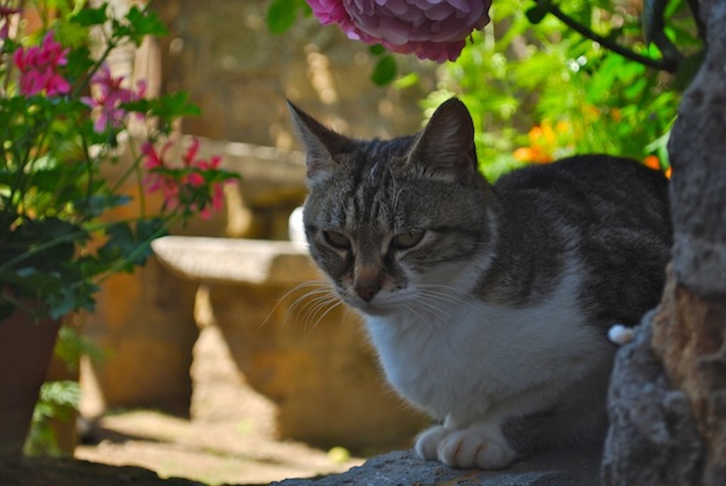 ..e tu che vuoi?....